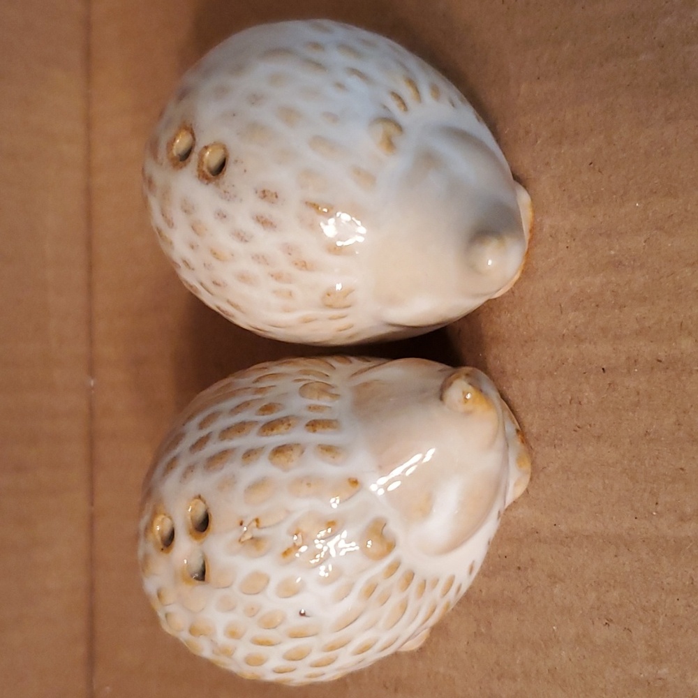 Hedgehog ceramic salt and pepper shakers